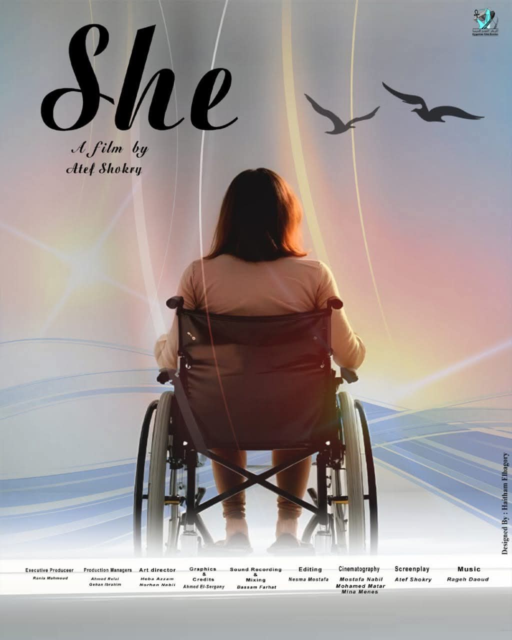 الفيلم التسجيلي «هي» يفوز بشهادة التقدير الخاصة في المهرجان المصري الأمريكي للسينما والفنون بنيويورك